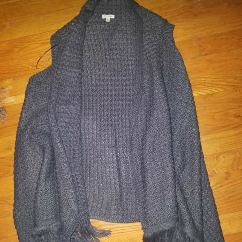 Winter gray vest